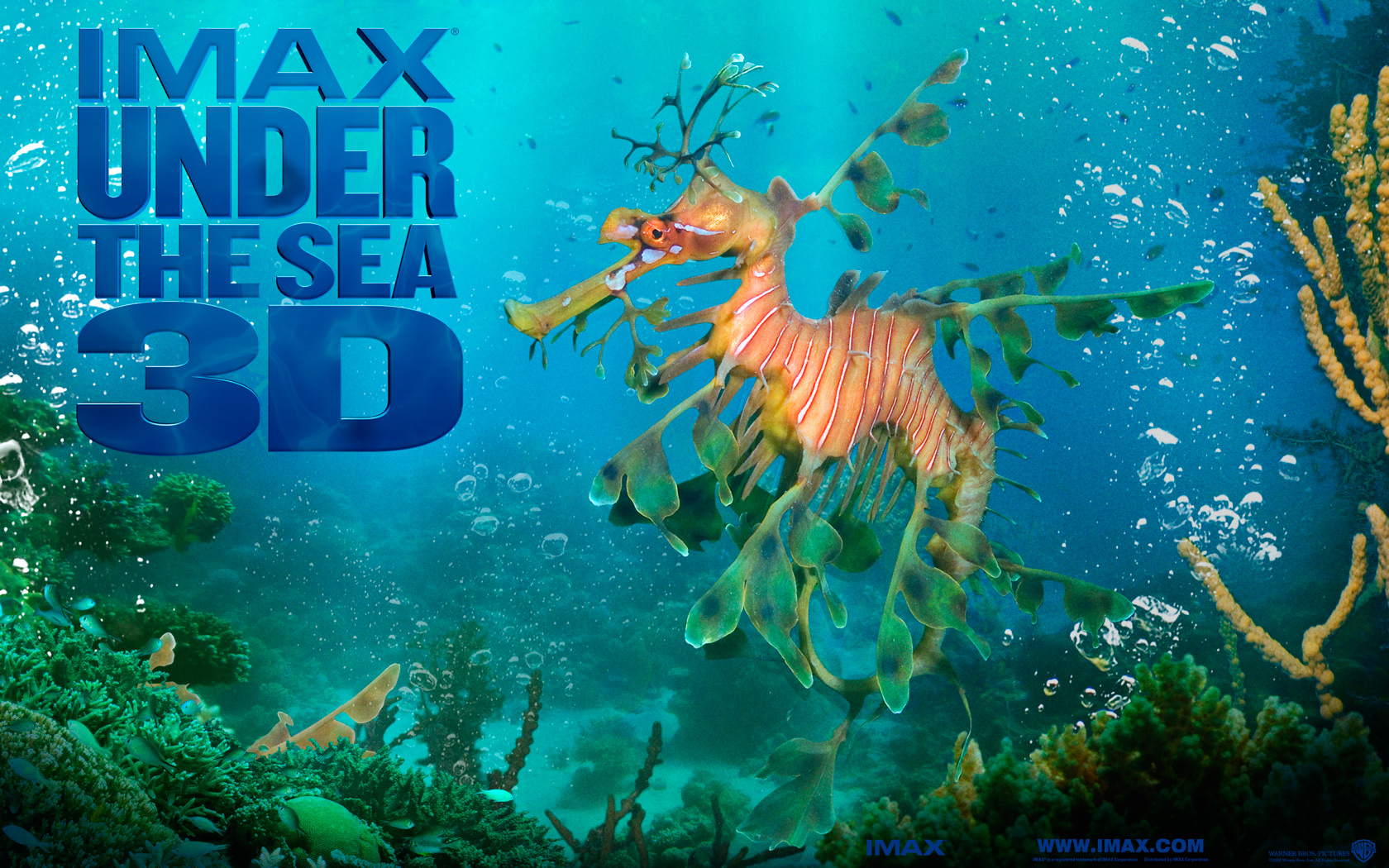 Under The Sea 3d Wallpaper 6 - Under The Sea 3d (2009) - HD Wallpaper 