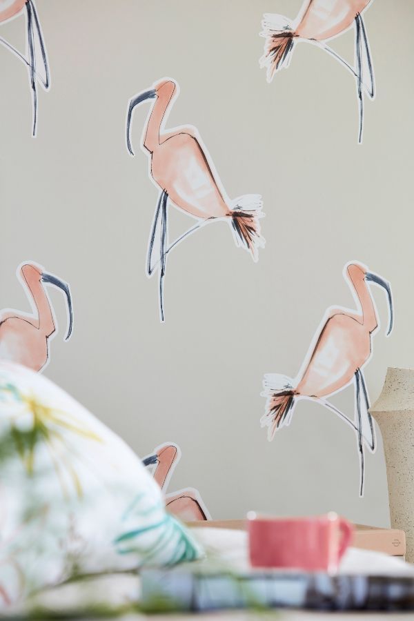 Greater Flamingo - HD Wallpaper 