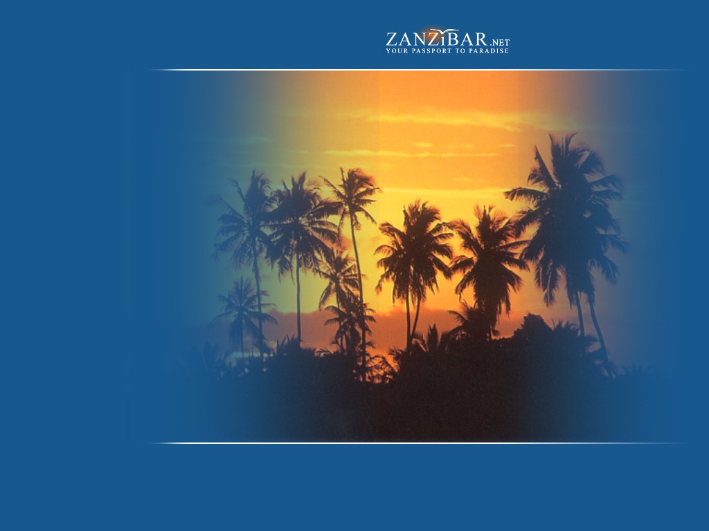 Z1 - Attalea Speciosa - HD Wallpaper 