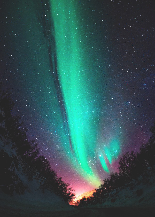 Aurora Borealis Hd Wallpapers Backgrounds Wallpaper - Aurora Borealis Wallpaper Phone Hd - HD Wallpaper 