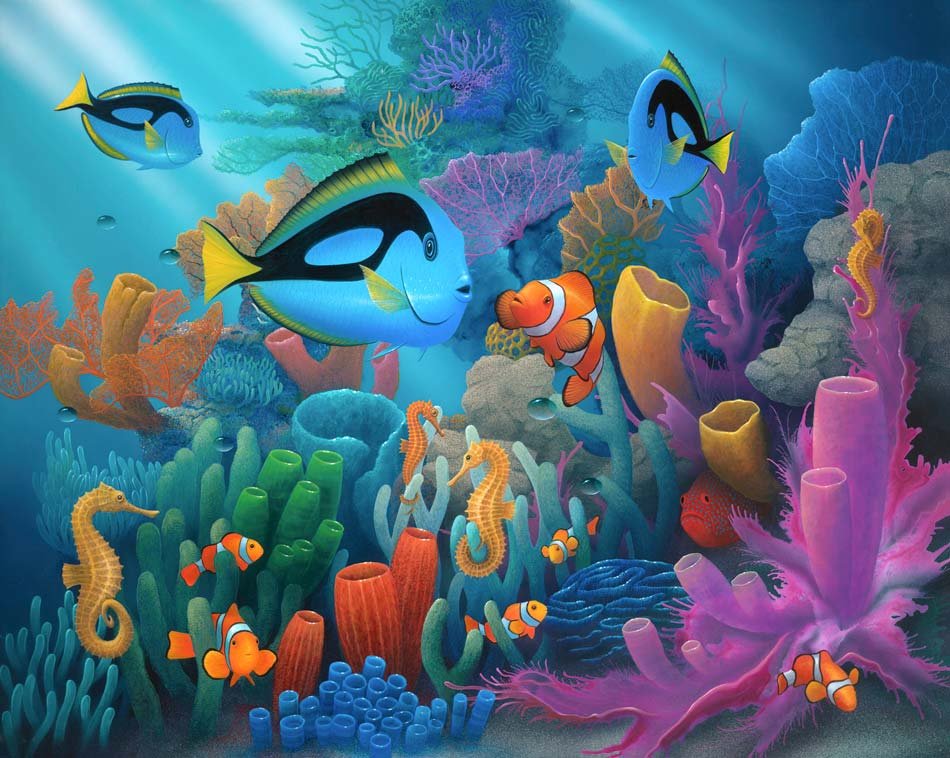 Under Sea - Underwater Hd Wallpapers For Desktop - HD Wallpaper 