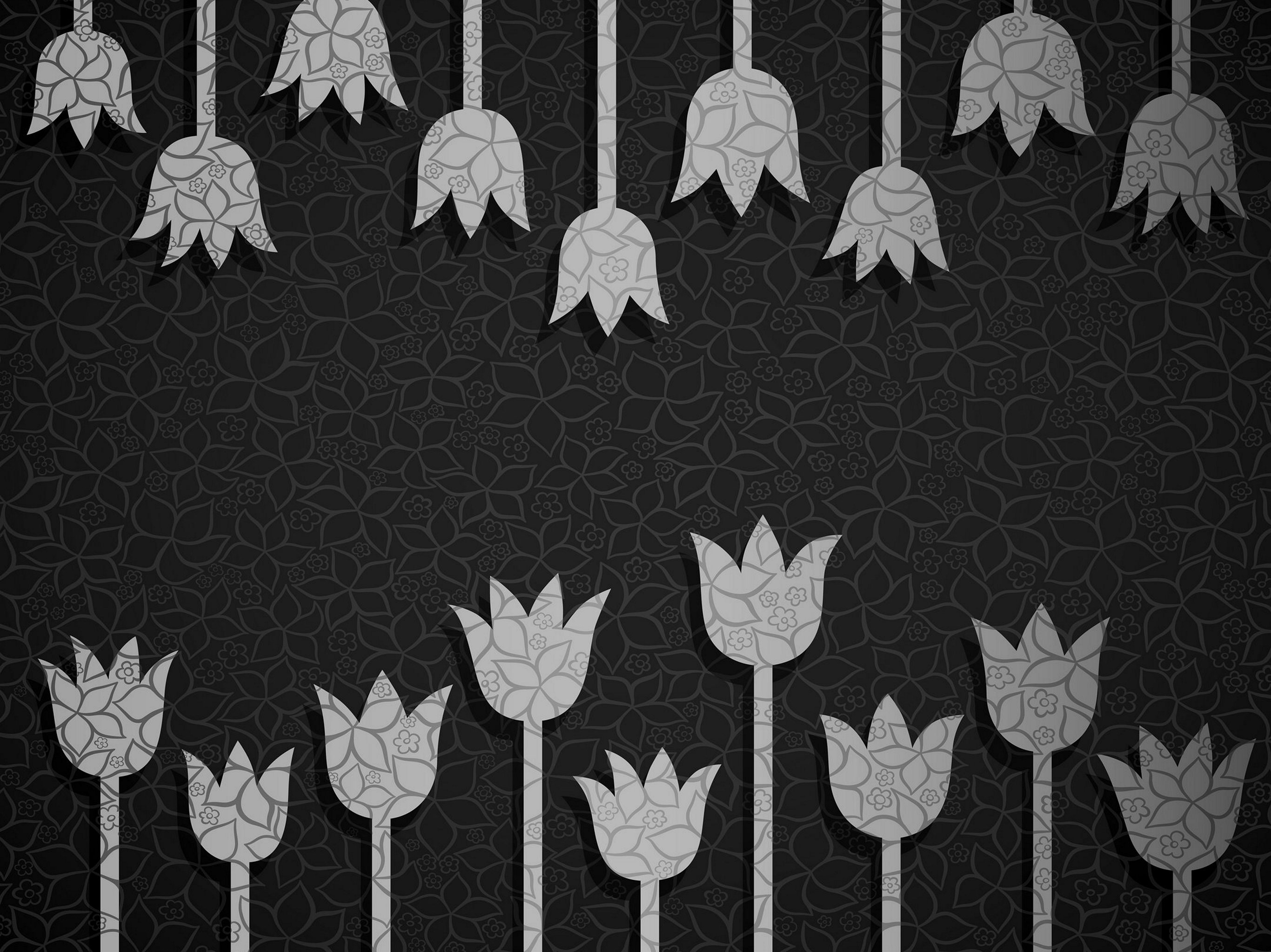 Vector Graphics - HD Wallpaper 