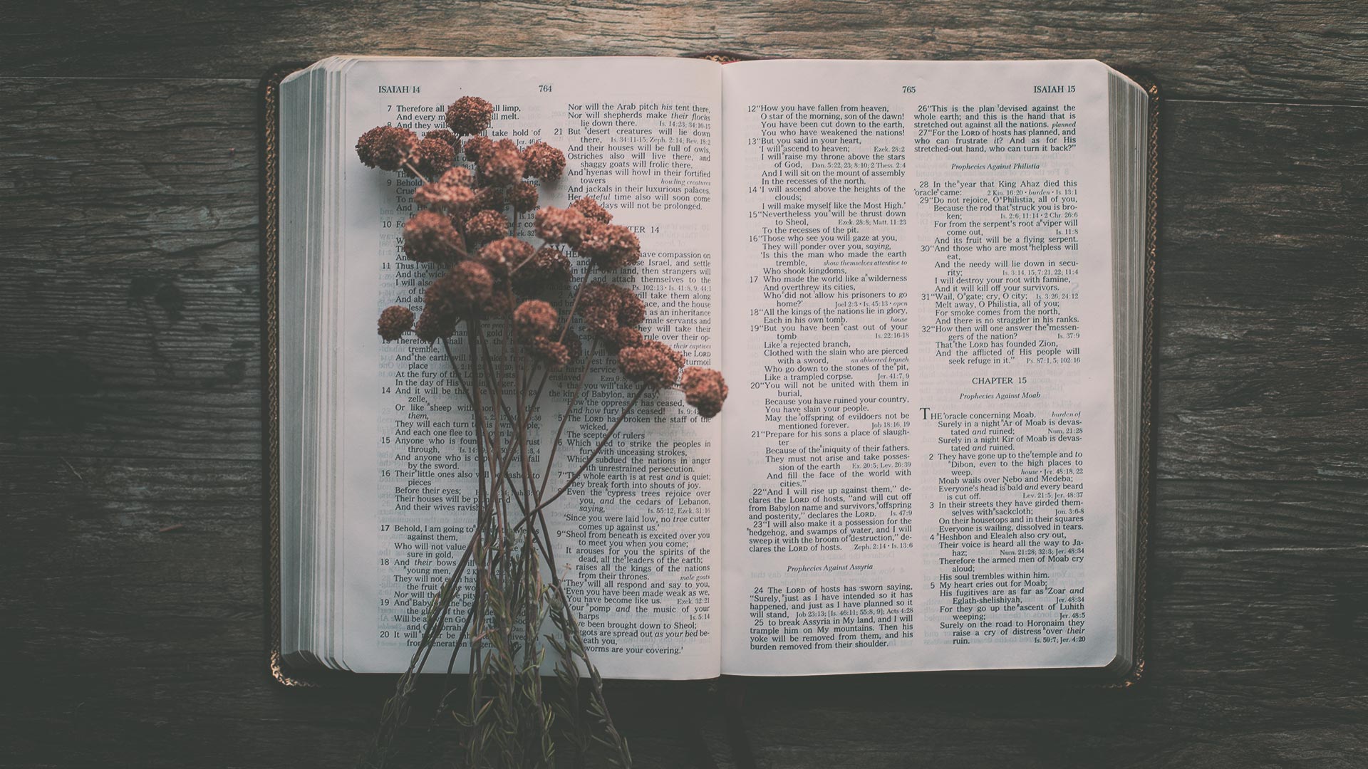 Anger In The Bible - Diezmos Y Ofrendas - HD Wallpaper 