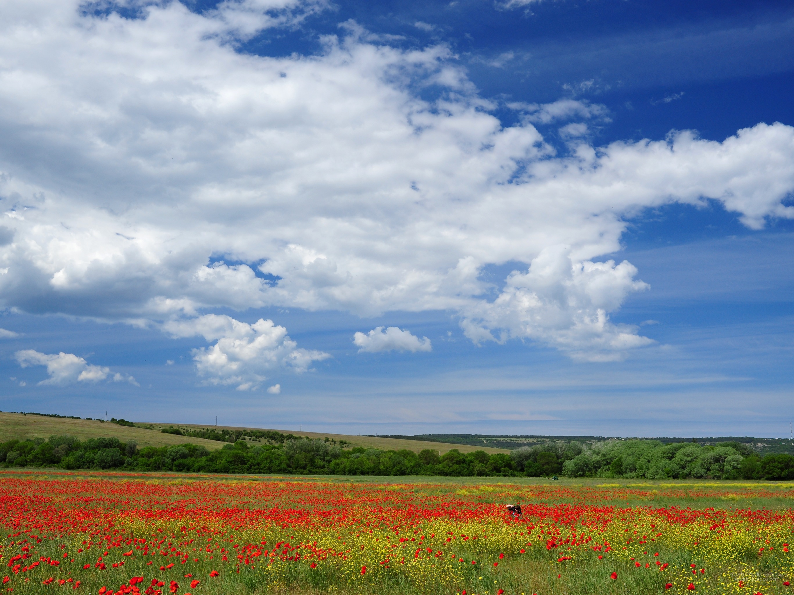 Spring Landscape - Imagini De Fundal 1280 1024 - HD Wallpaper 
