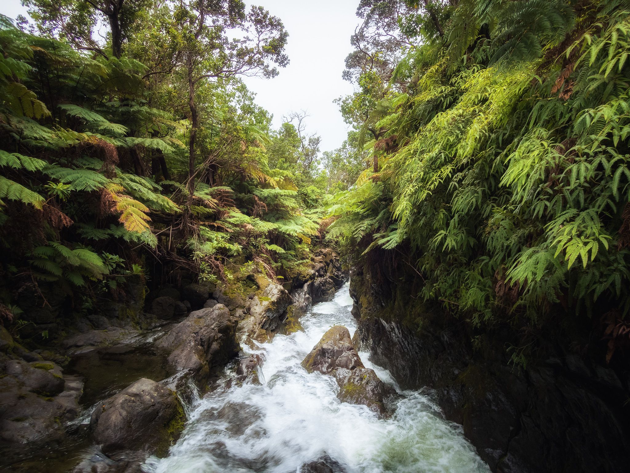 Tributary - HD Wallpaper 