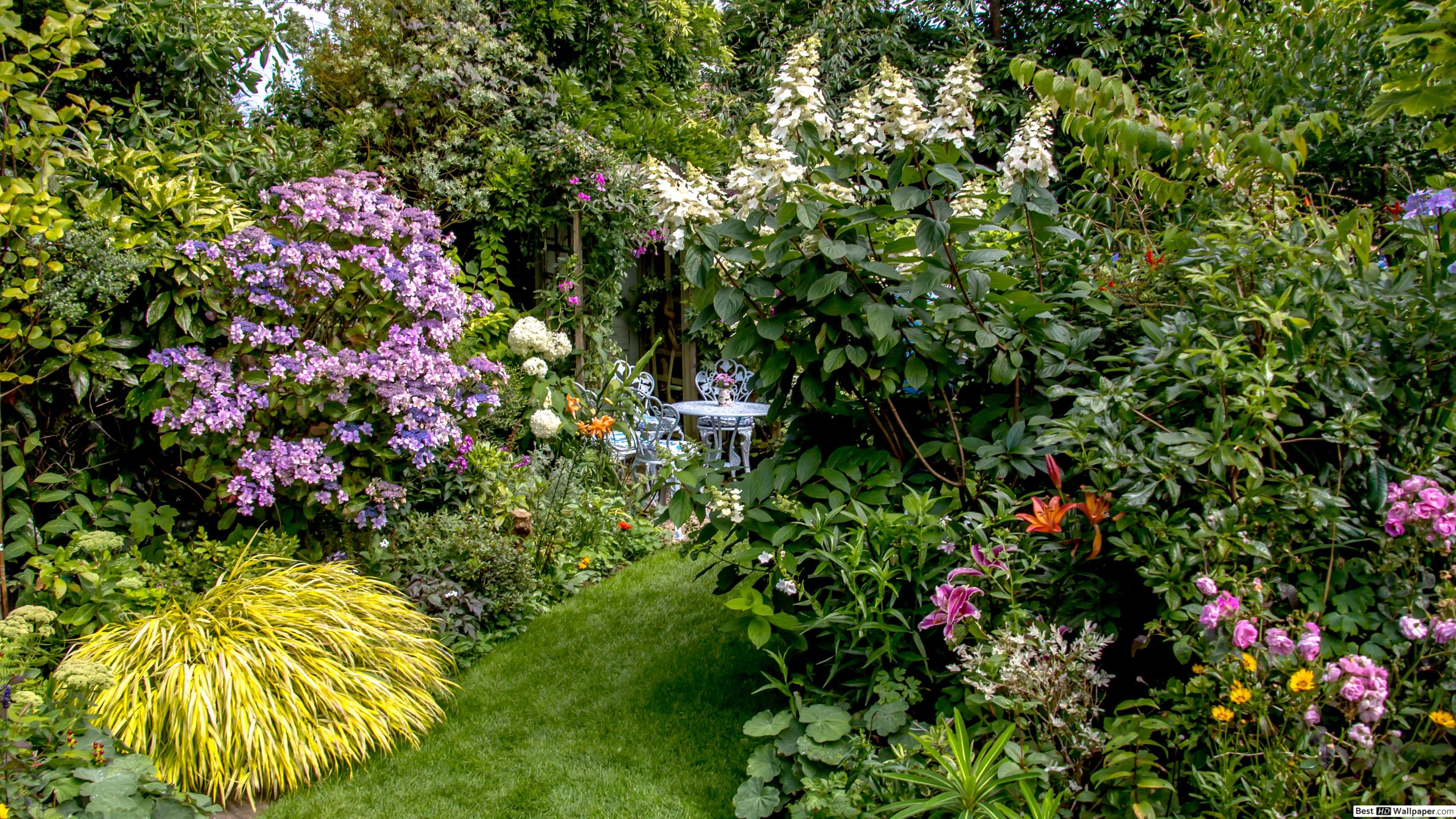Garden - HD Wallpaper 