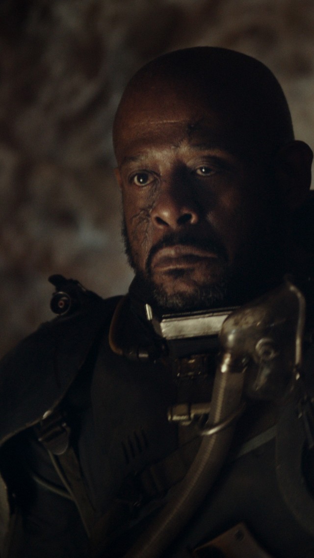 Rogue One Saw Gerrera - HD Wallpaper 