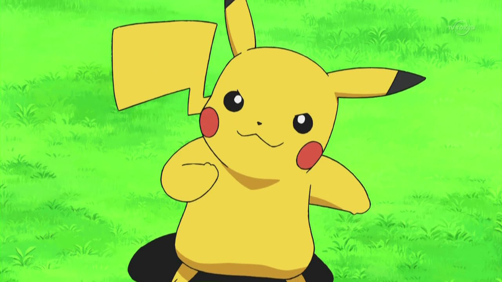 Ash's Pikachu - HD Wallpaper 