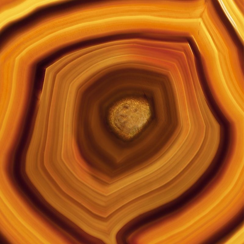 Fractal Art - HD Wallpaper 