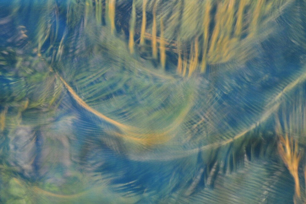 Livingwalls Photo Wallpaper Mauritius Dd100404 - Close-up - HD Wallpaper 