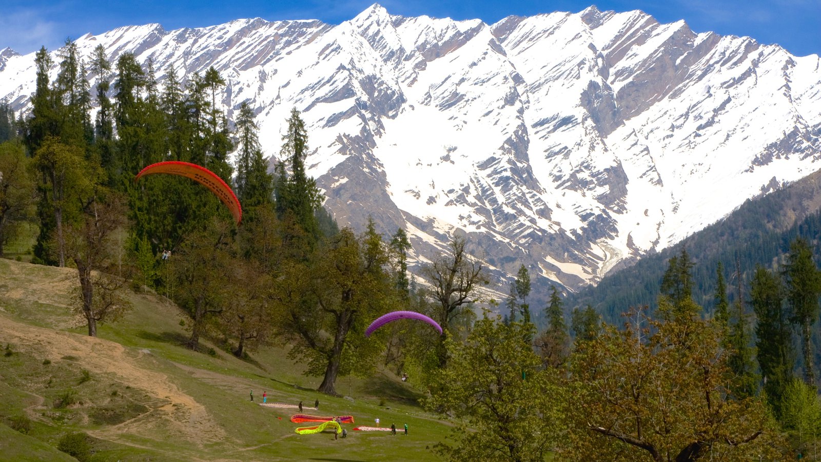 Manali, Himachal Pradesh - HD Wallpaper 
