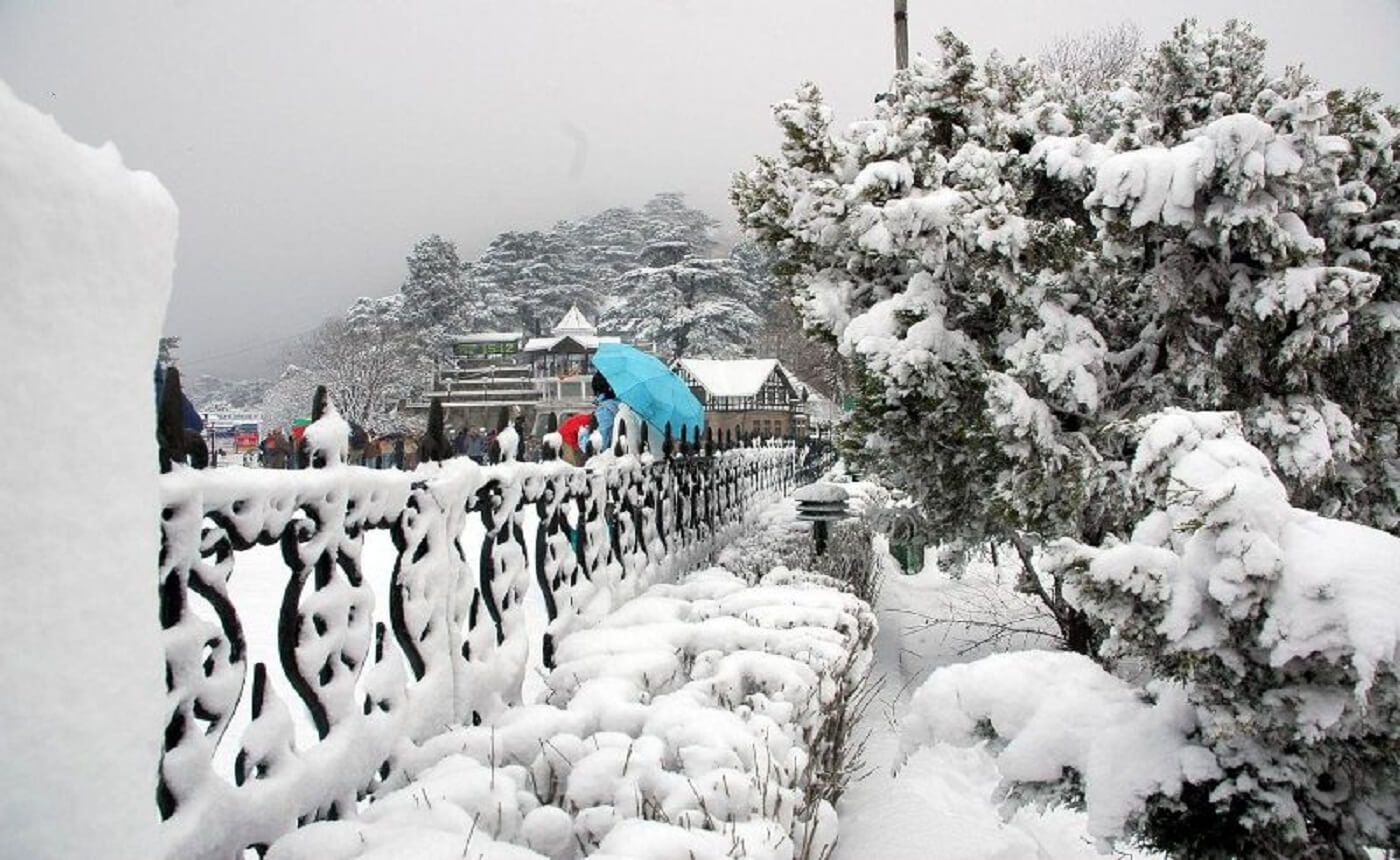 Snow Fall In Shimla - HD Wallpaper 