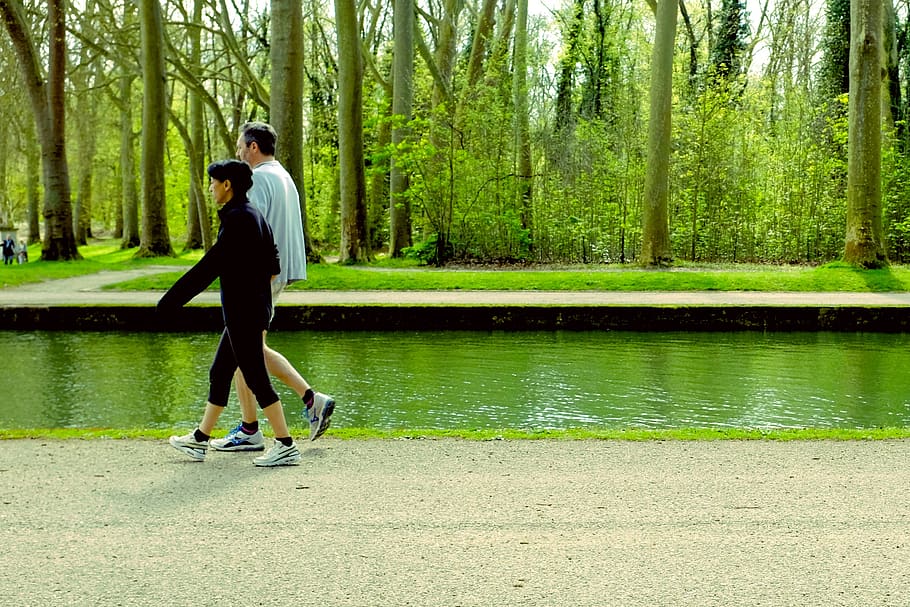 Walk, Run, Health, Healthy, Couple, Happy, Weekend, - Tree - HD Wallpaper 