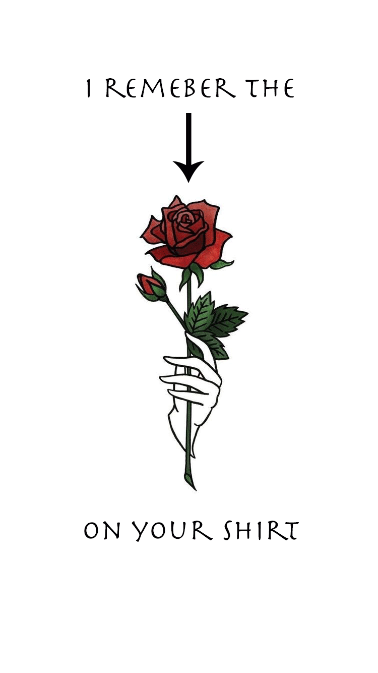 5sos Roses - HD Wallpaper 