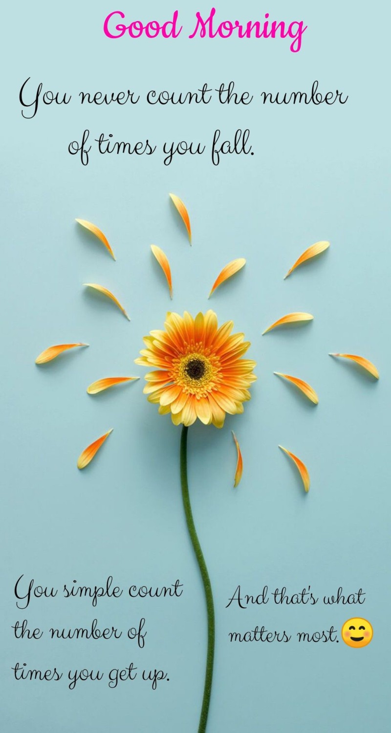 Iphone Cute Wallpaper Flower - HD Wallpaper 