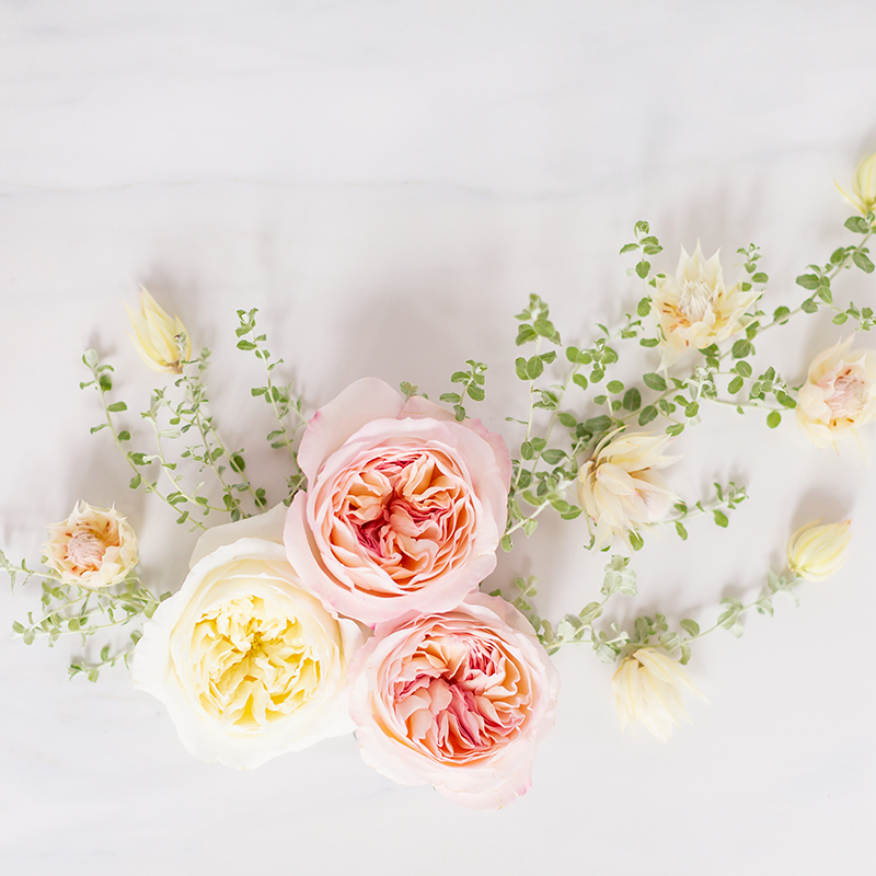 Digital Bloom - HD Wallpaper 