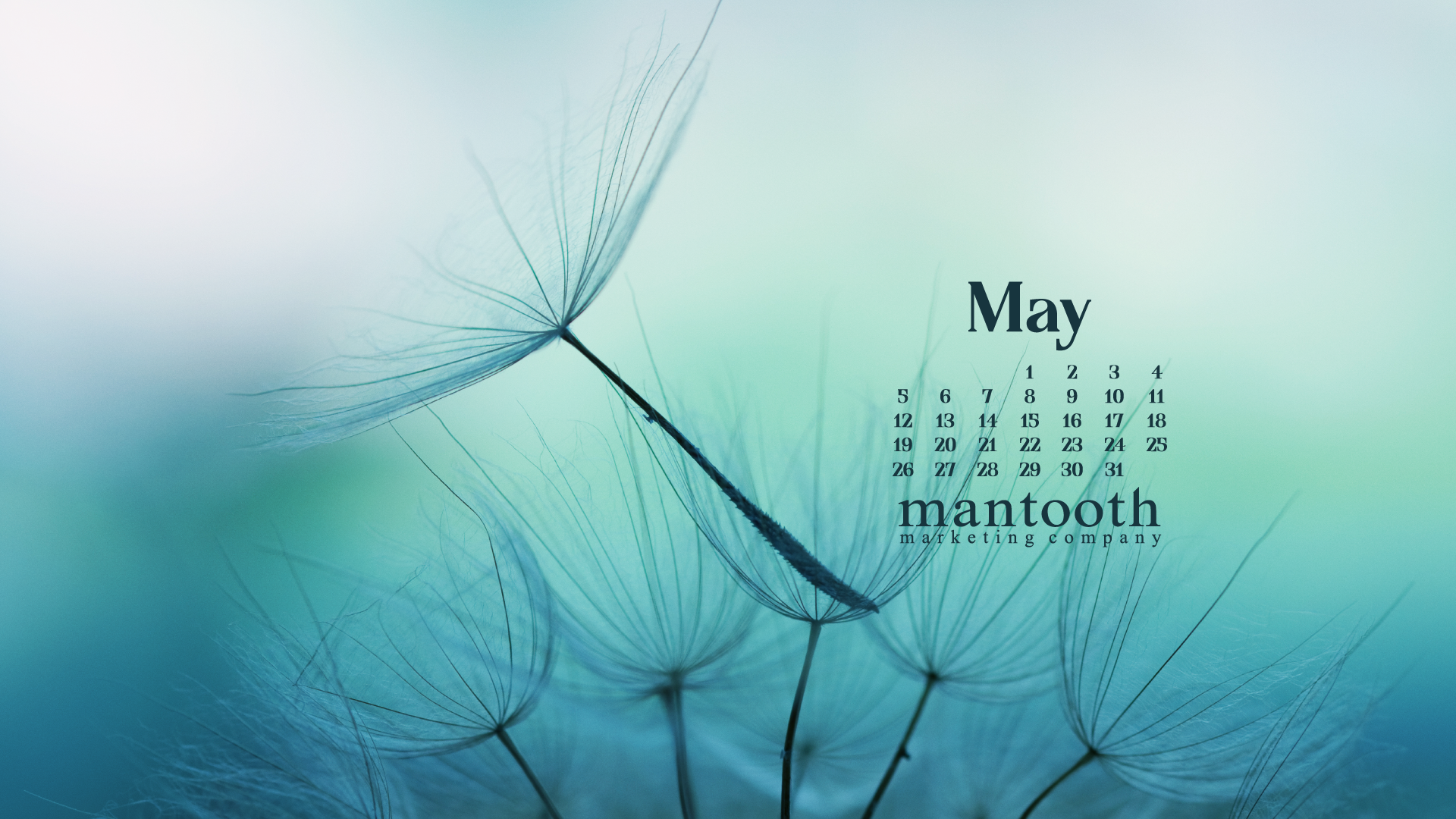 Park & Breathe Flowbird - HD Wallpaper 