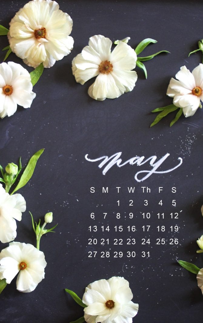 Jasmine - HD Wallpaper 