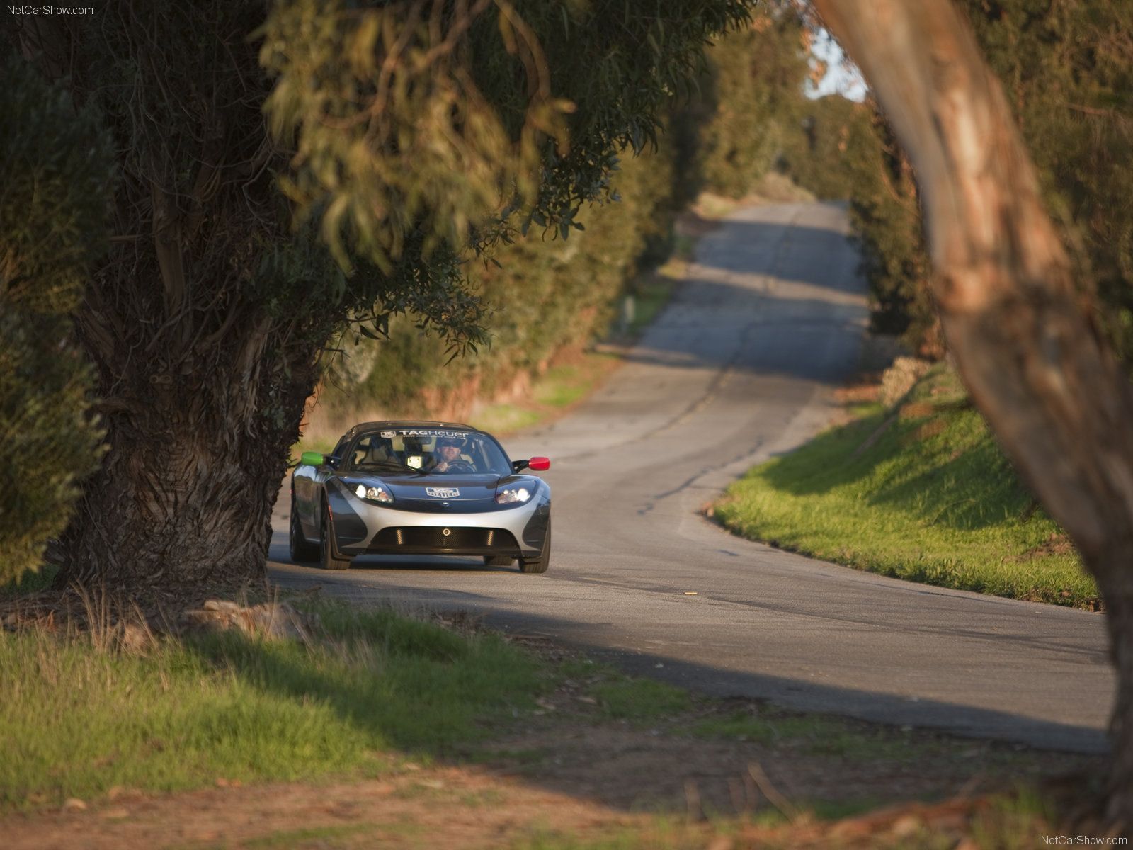 Tesla Roadster Tag Heuer Photo - Tag Heuer Car - HD Wallpaper 