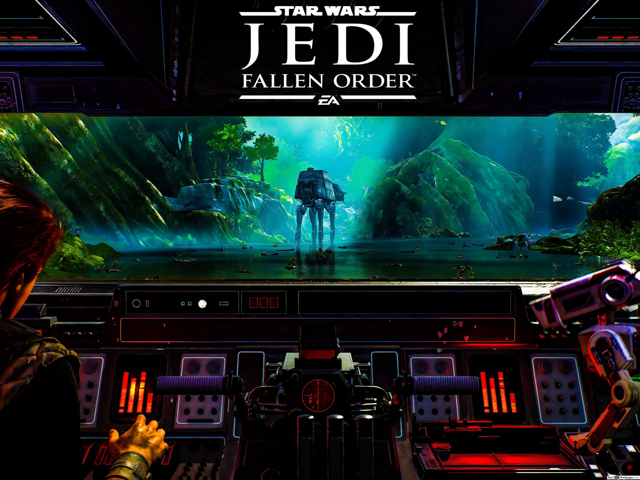 Wallpaper - HD Wallpaper 