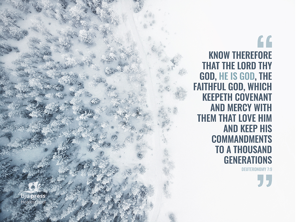 Snow - HD Wallpaper 
