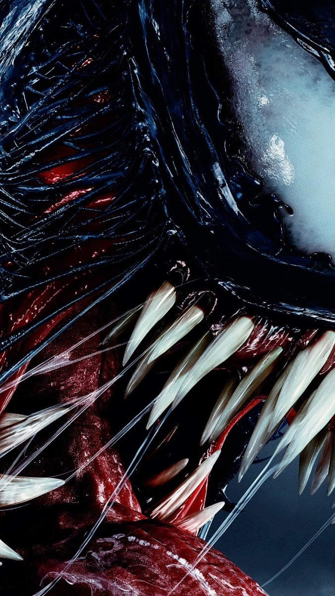 Venom, Scary, Teeth - Venom Hd - HD Wallpaper 