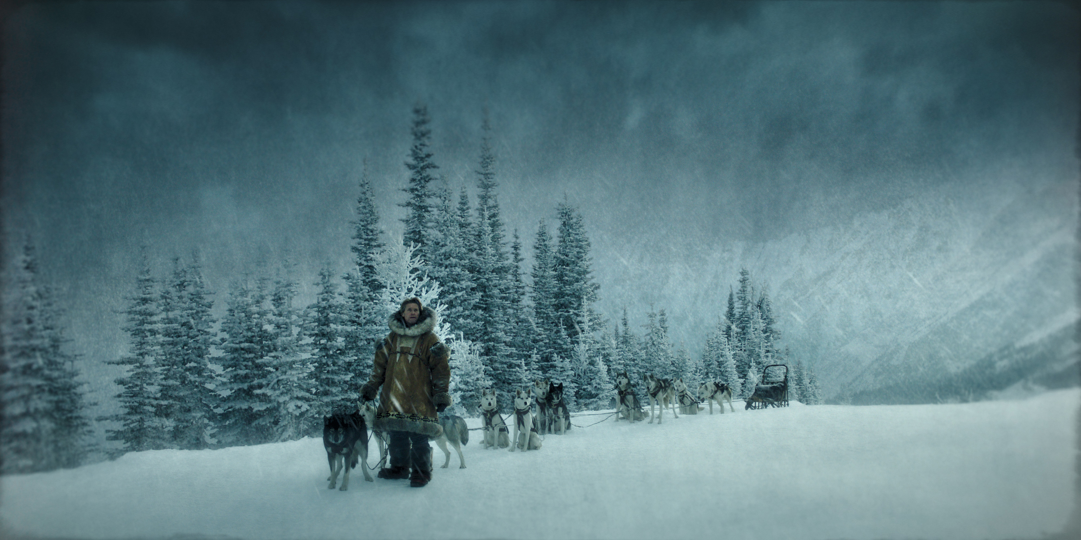 Togo Movie - HD Wallpaper 