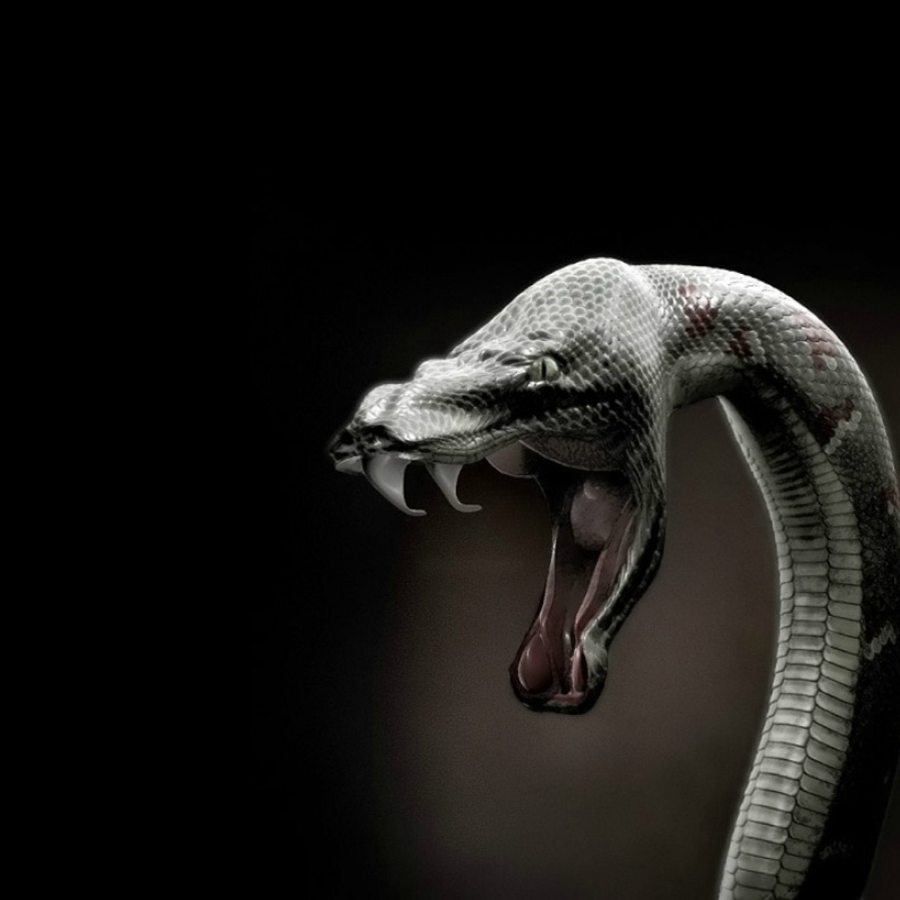 Imagenes De La Luciernaga Y La Serpiente - HD Wallpaper 