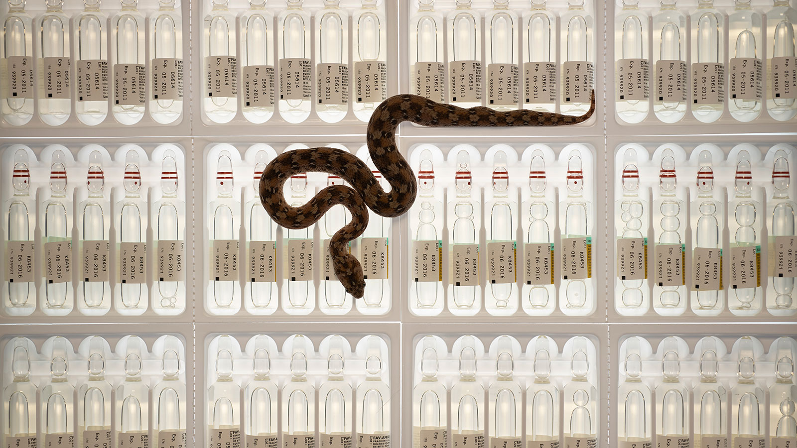 Health - HD Wallpaper 