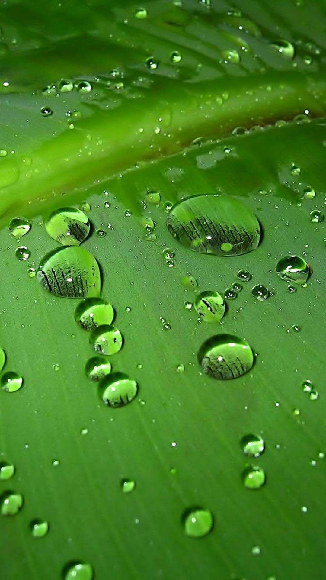 Lenovo A7000 Wallpapers - Samsung Galaxy Wallpaper Hd Nature - HD Wallpaper 