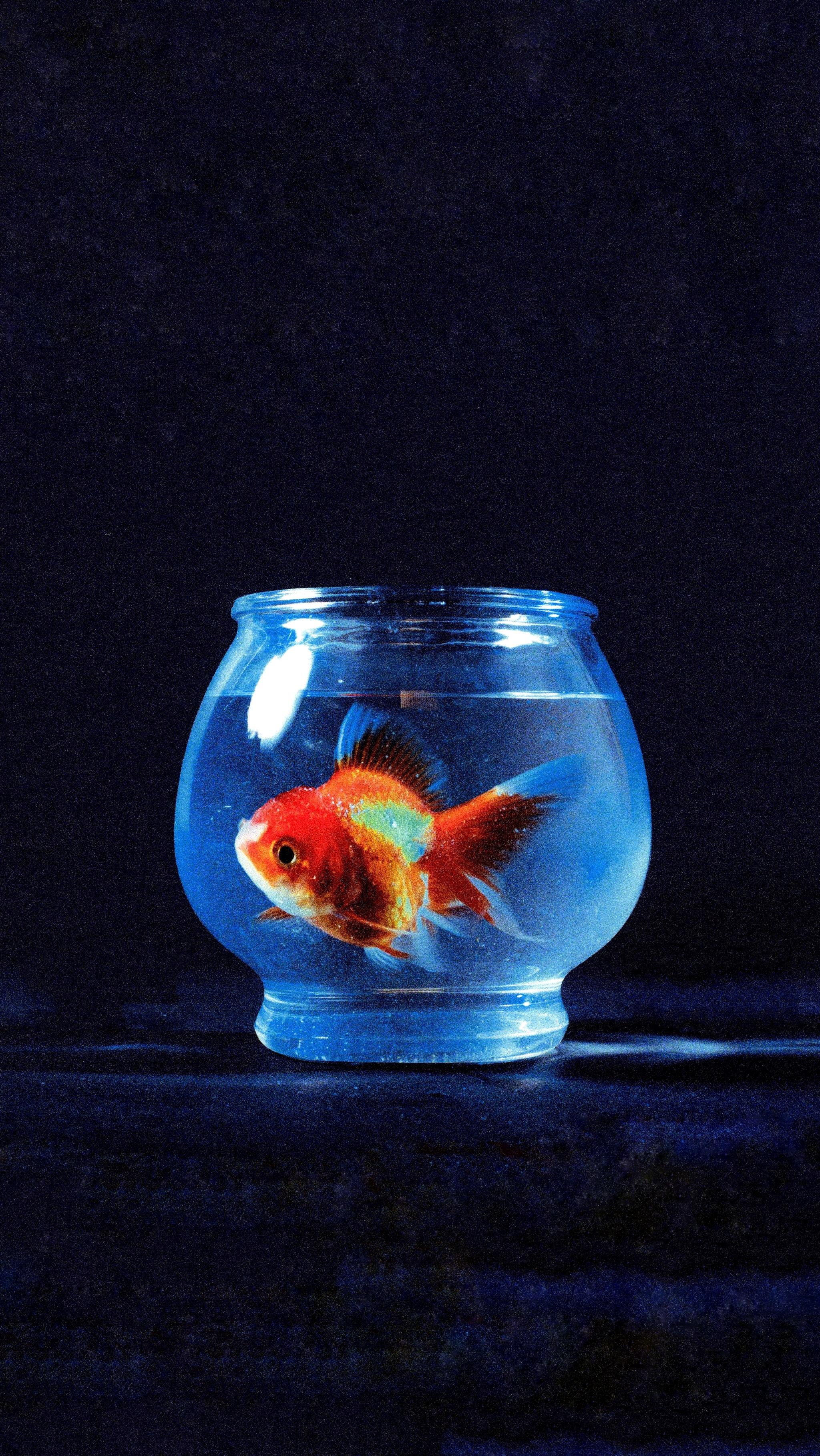 Vince Staples Big Fish Theory Artwork - HD Wallpaper 