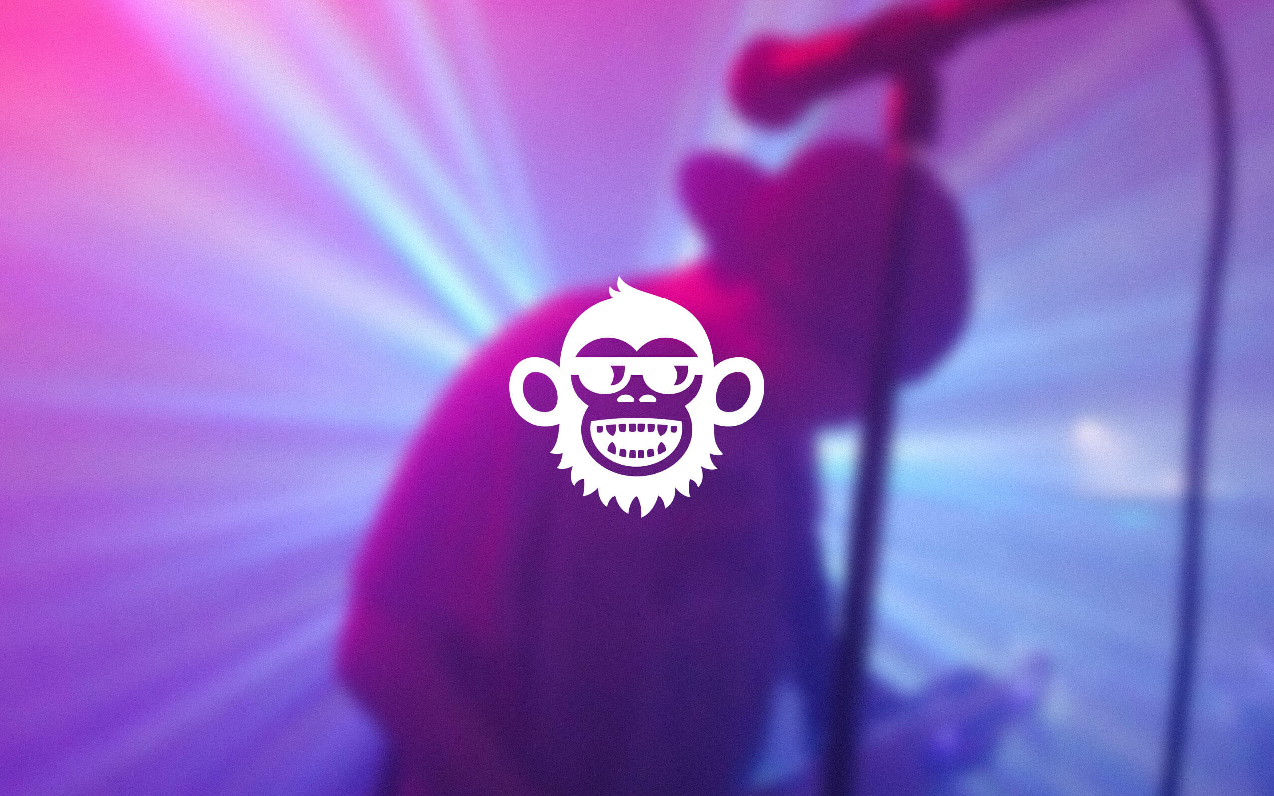 Cattleya - HD Wallpaper 