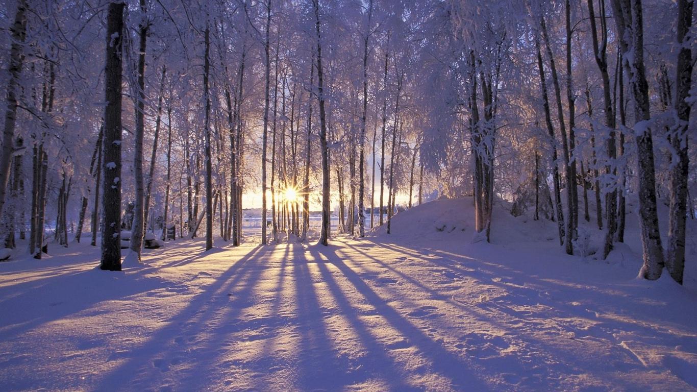 Winter Laptop Backgrounds - High Resolution Snow Landscape - 1366x768  Wallpaper 