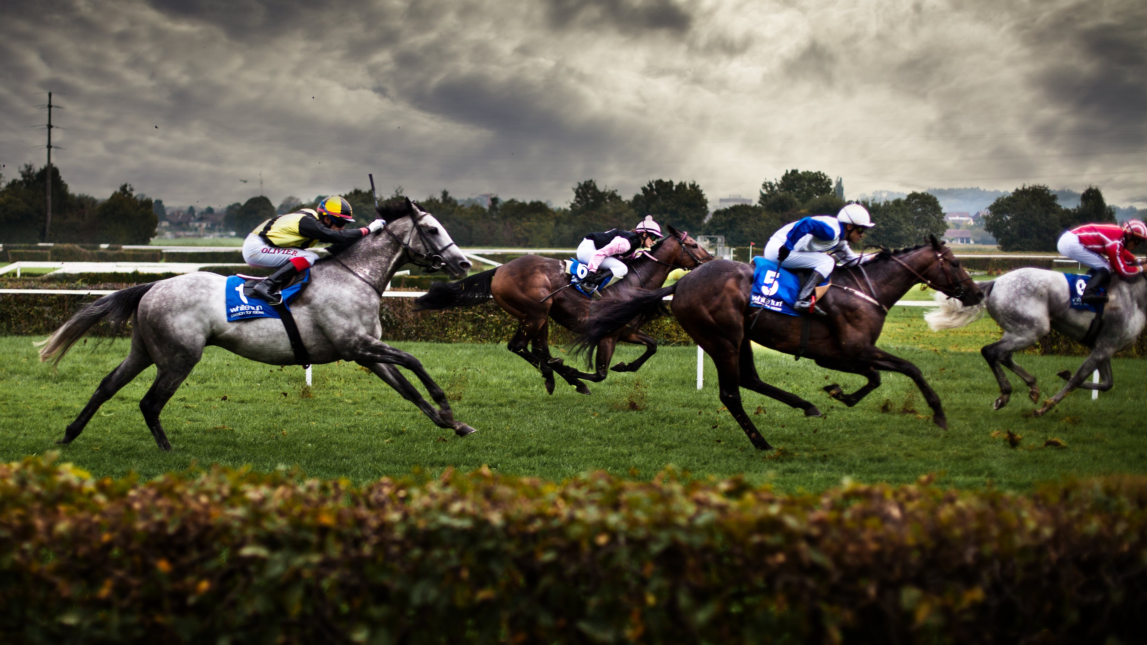 Horse Racing Wallpaper Hd - HD Wallpaper 