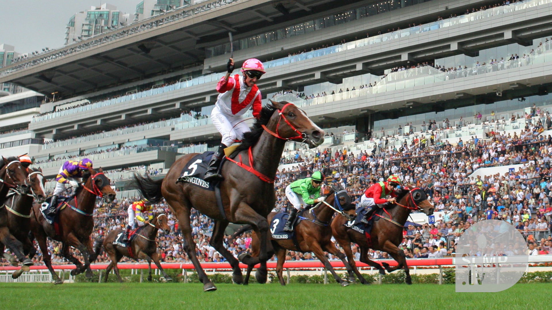 Flat Racing - HD Wallpaper 