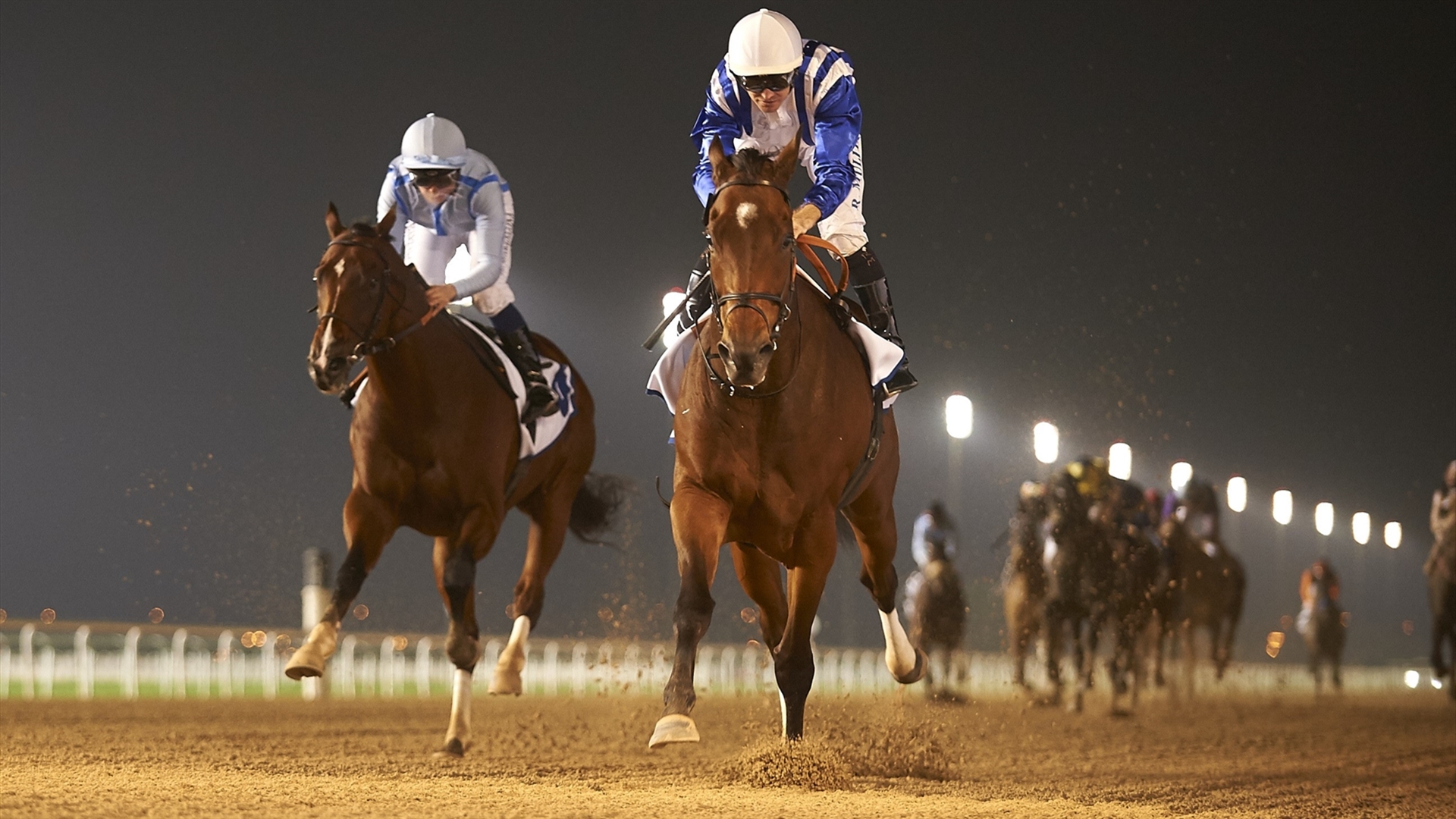 Flat Racing - HD Wallpaper 