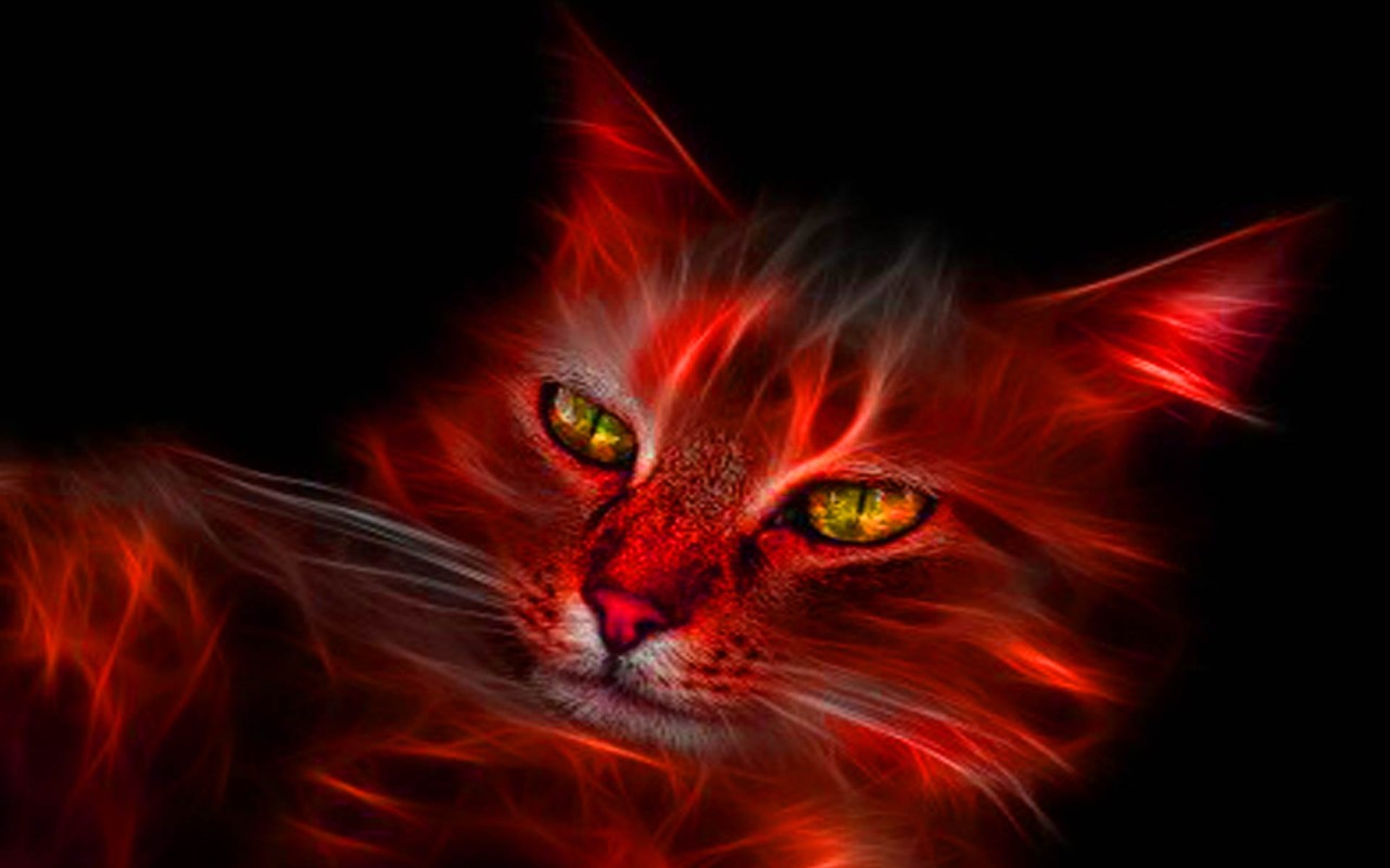 Top 64k Ultra Hd Space Wallpapers Wallpapers - Fondos De Pantalla De Gatos  Bacanos - 1280x800 Wallpaper - teahub.io