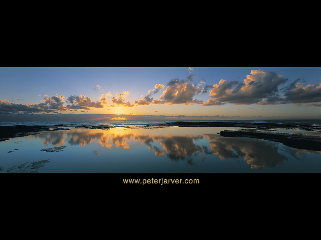 Limited Edition Peter Jarver - HD Wallpaper 