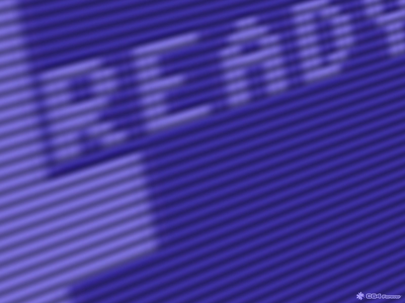 Lavender - HD Wallpaper 