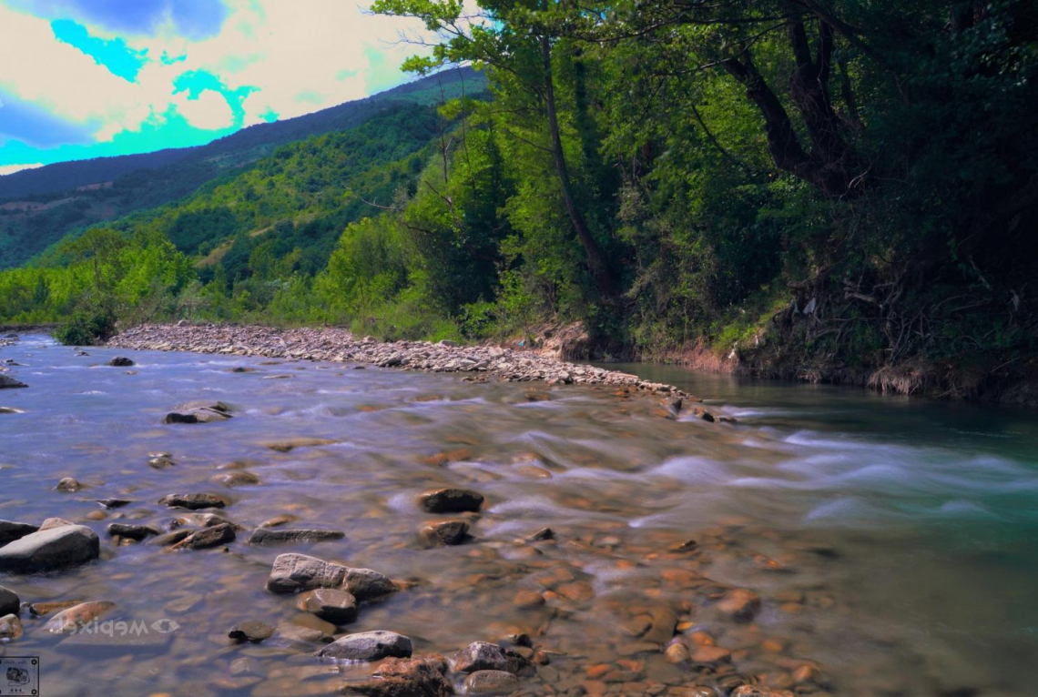 Lake Between In Forest 8k Wallpaper - Tributary - HD Wallpaper 