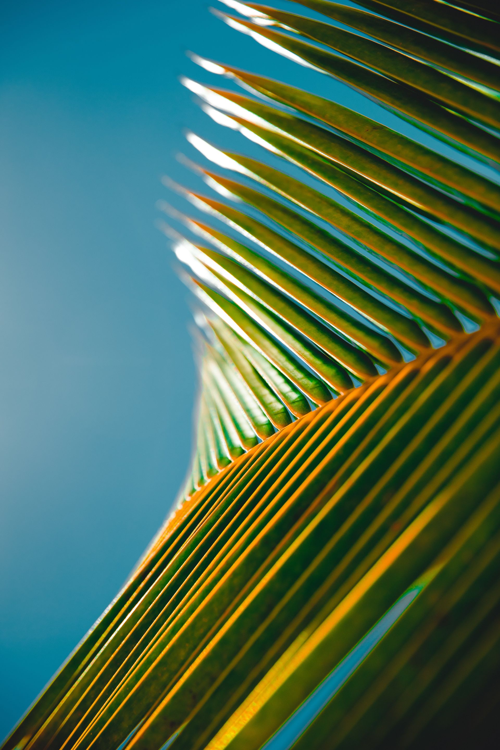 4k Uhd Wallpapers Mega Collection - Galaxy S8 Uhd - HD Wallpaper 