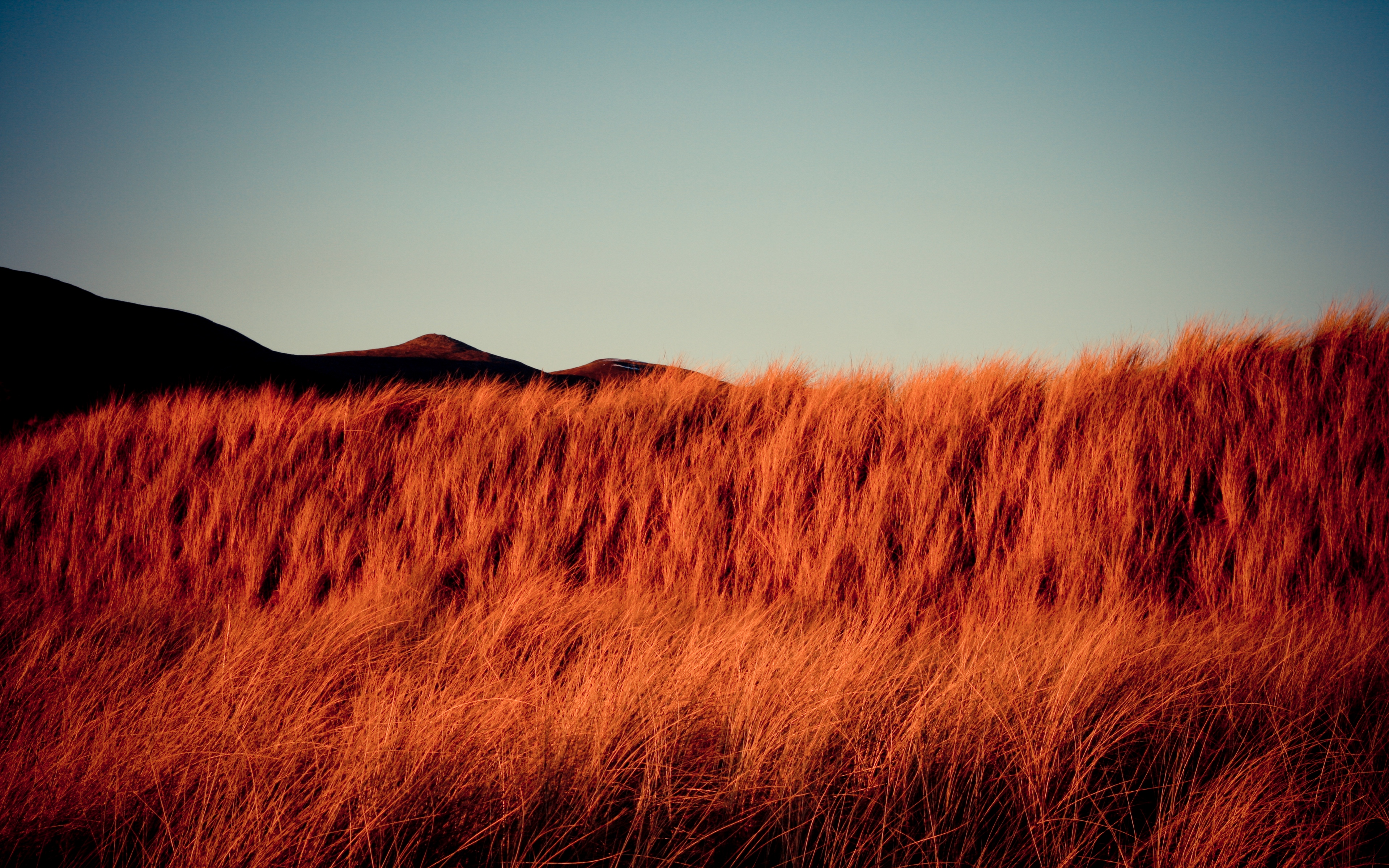 Wallpaper Grass, Dry, Hills, Landscape, Nature - 16:10 Aspect Ratio - HD Wallpaper 