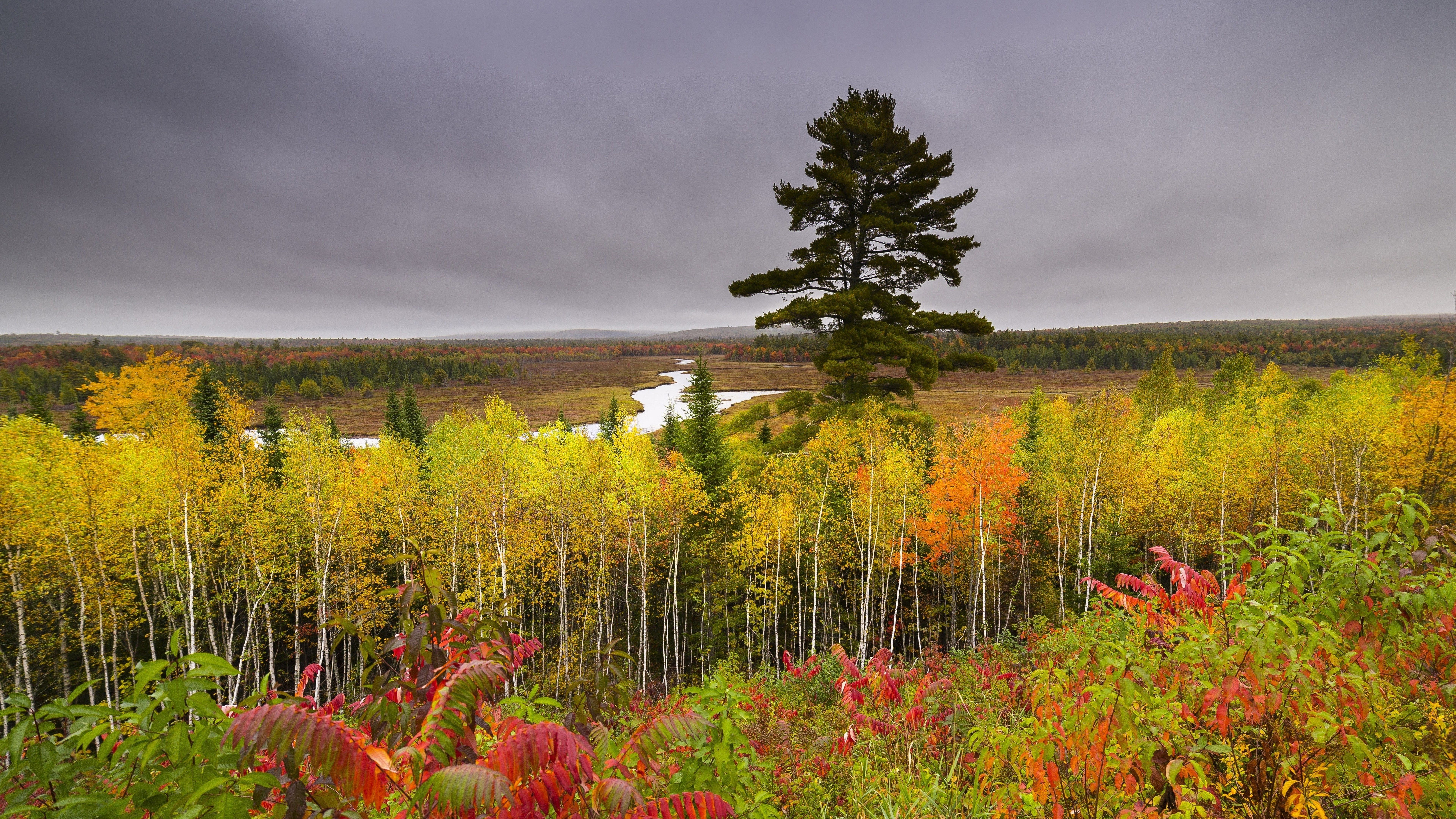 8k Wallpaper Nature - HD Wallpaper 