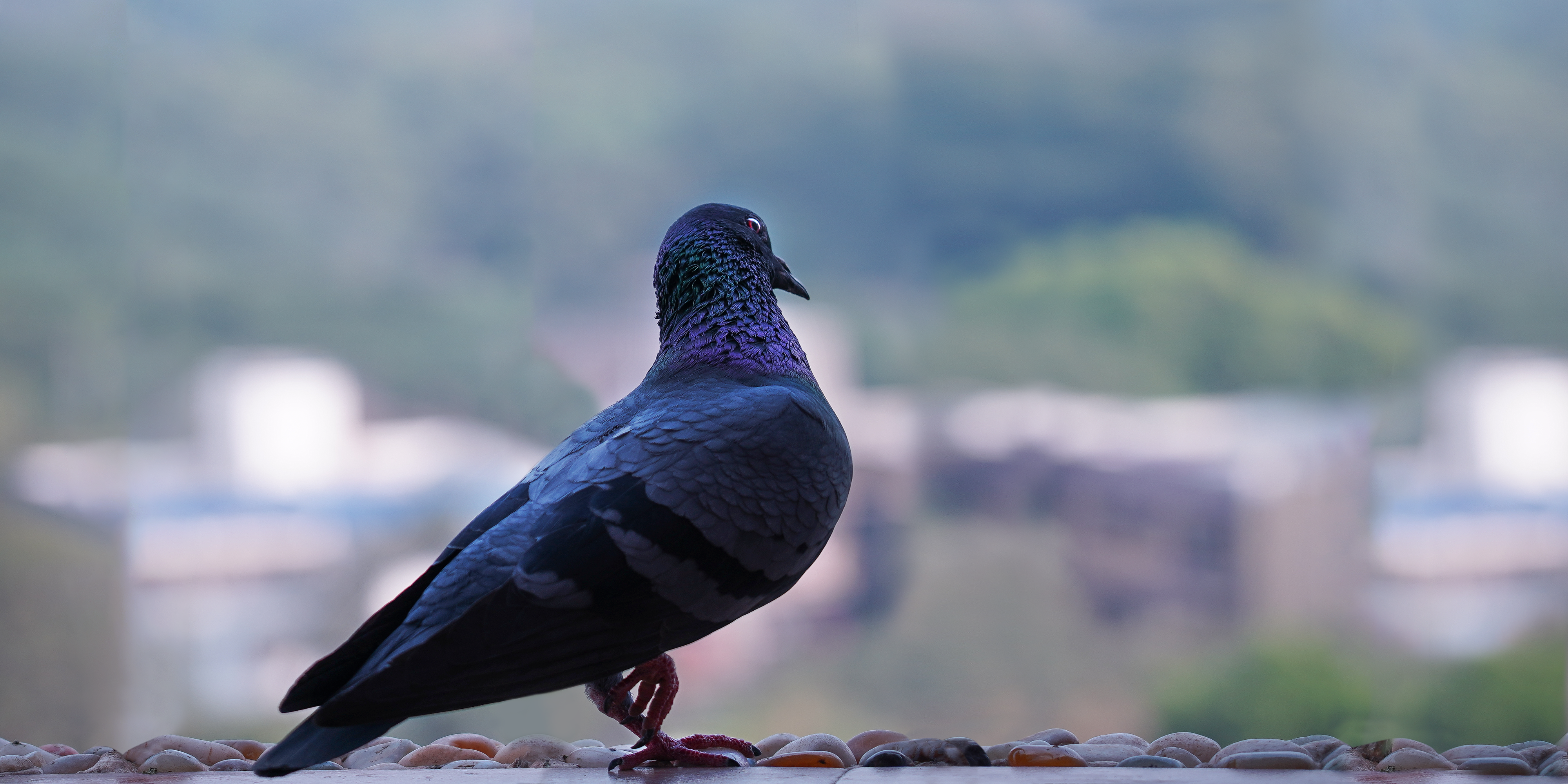 Background 4k For Photoshop - HD Wallpaper 