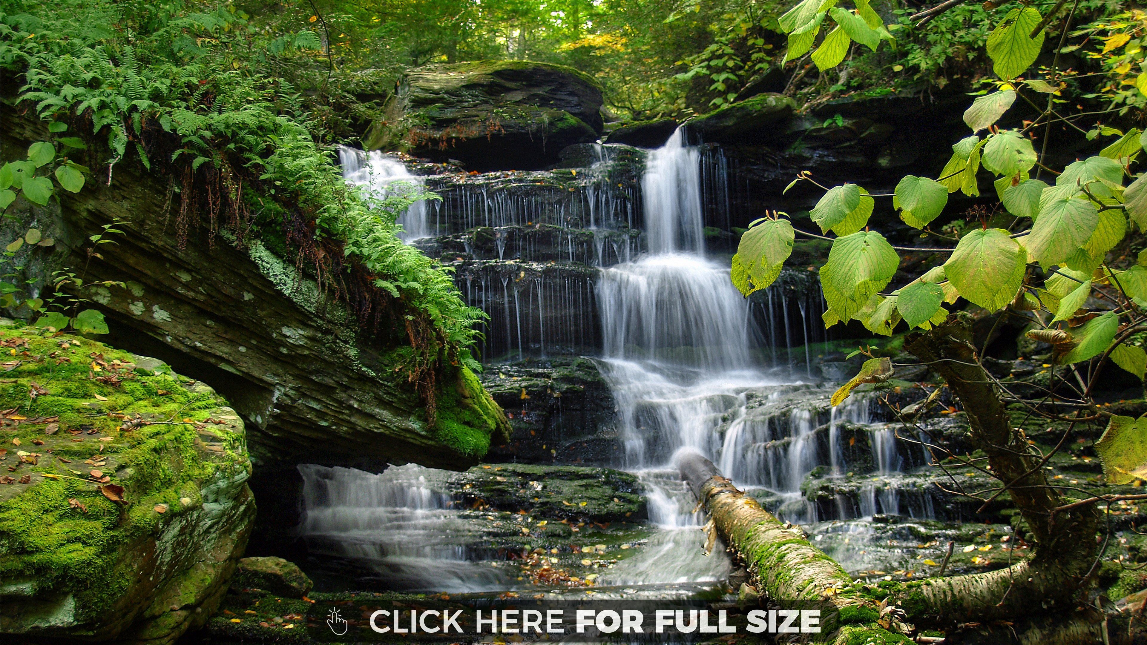 8k Ultra Hd Nature Wallpaper-b5t6y44 - Best Hd Nature Wallpapers For  Android - 3840x2160 Wallpaper 