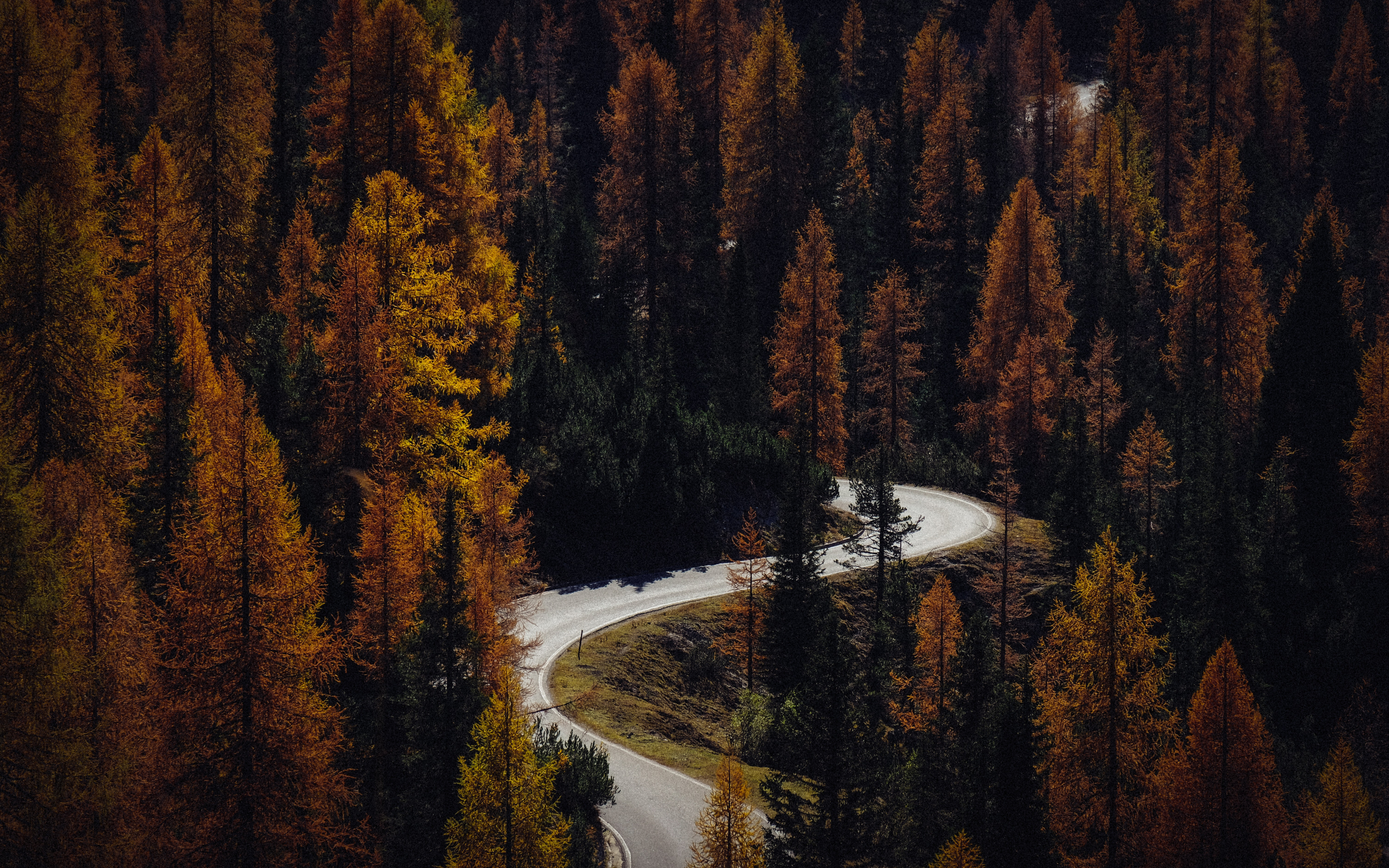 Autumn Road Wallpaper Hd - HD Wallpaper 