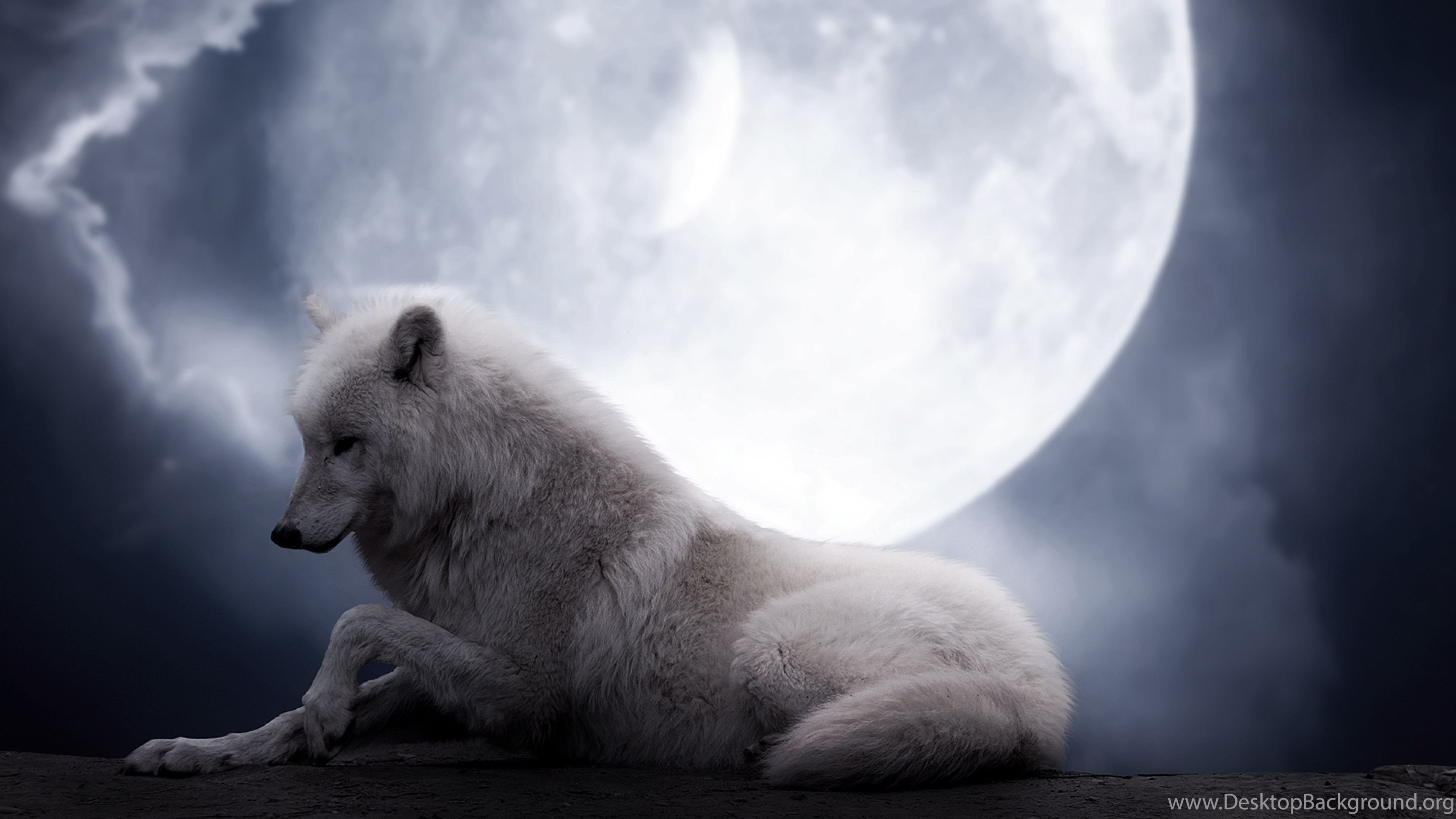 Wolf And Moon Laptop - HD Wallpaper 