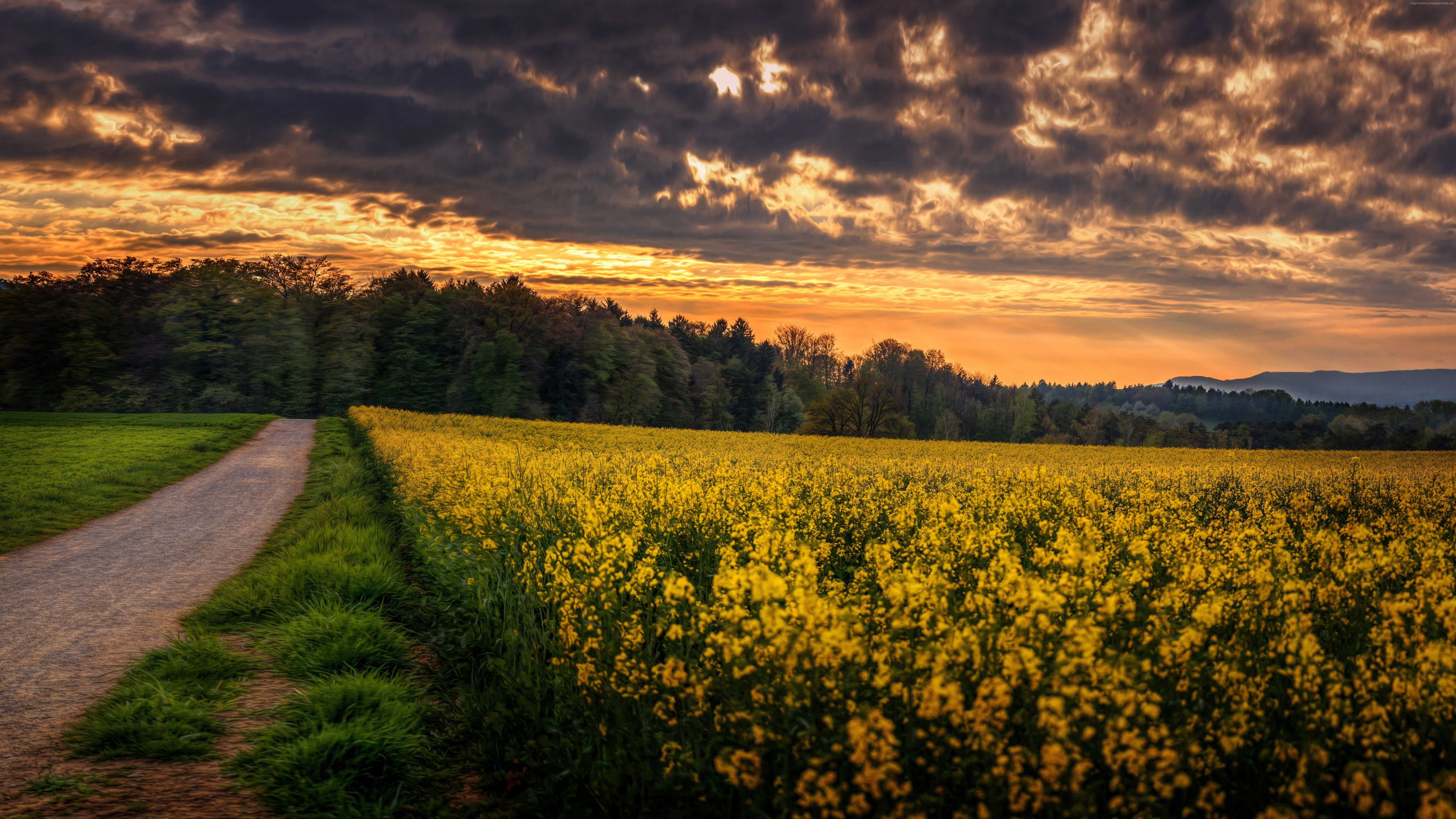 8k Flowers Wallpapers - 7680x4320 Wallpaper 8k Flowers Wallpapers - 7680x4320 Wallpaper
