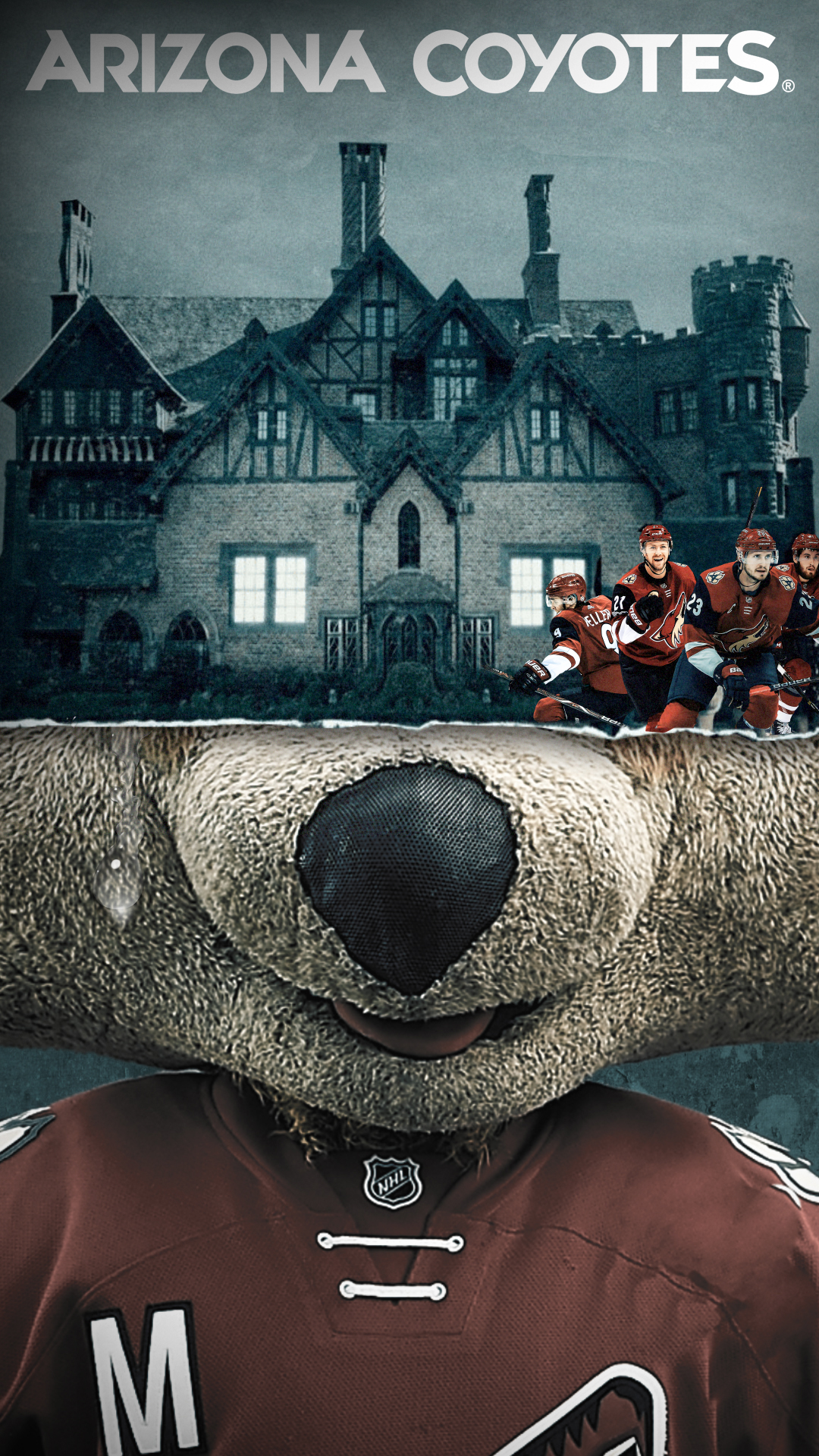 Arizona Coyotes Phone - HD Wallpaper 