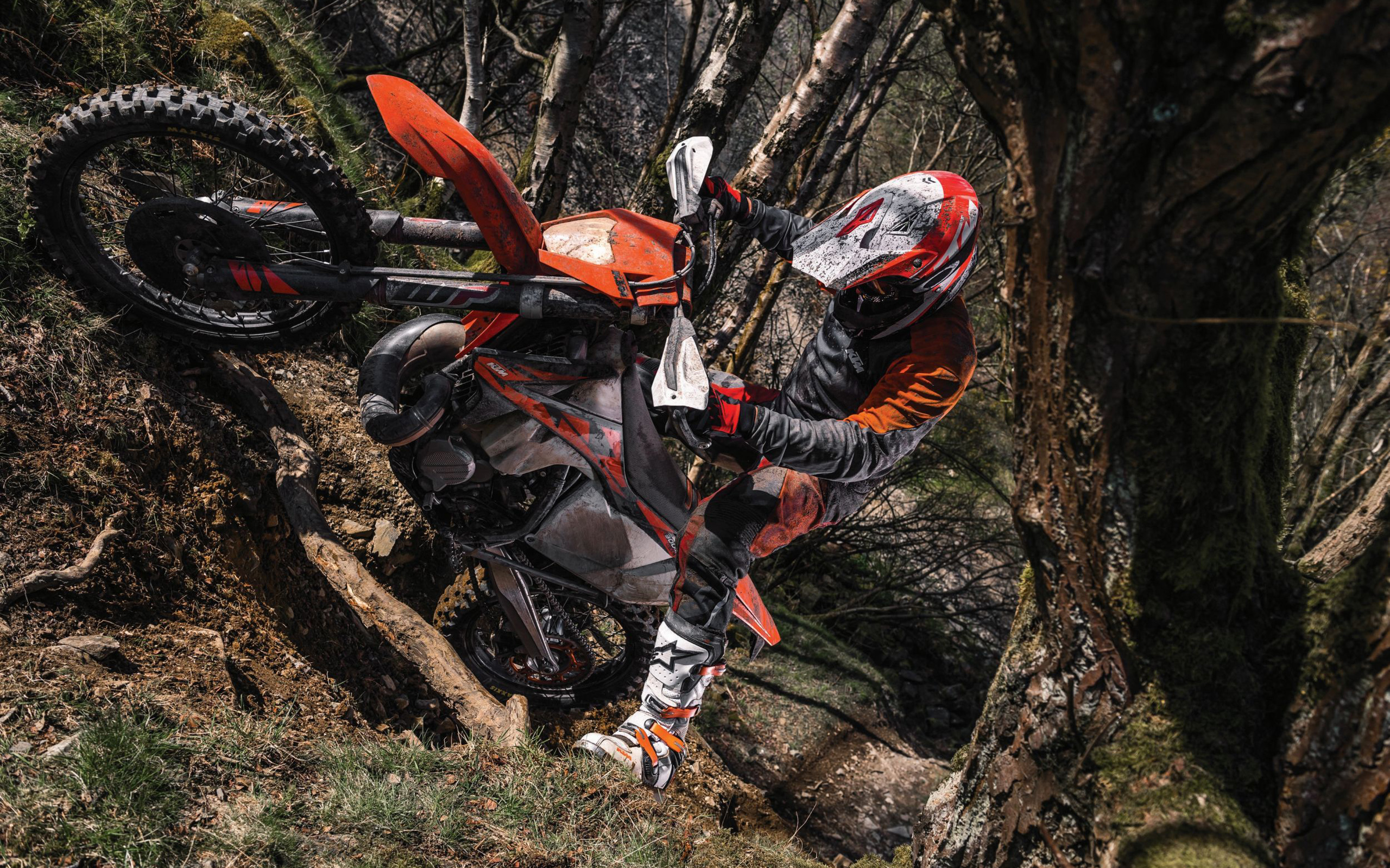 Extreme, Ktm 300 Exc Tpi, 2018 Bikes, Offroad, Forest, - Ktm Exc 300 Tpi - HD Wallpaper 